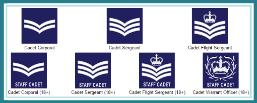 1206 (Mercian) Squadron RAF Air Cadets Lichfield - the Next Generation ...